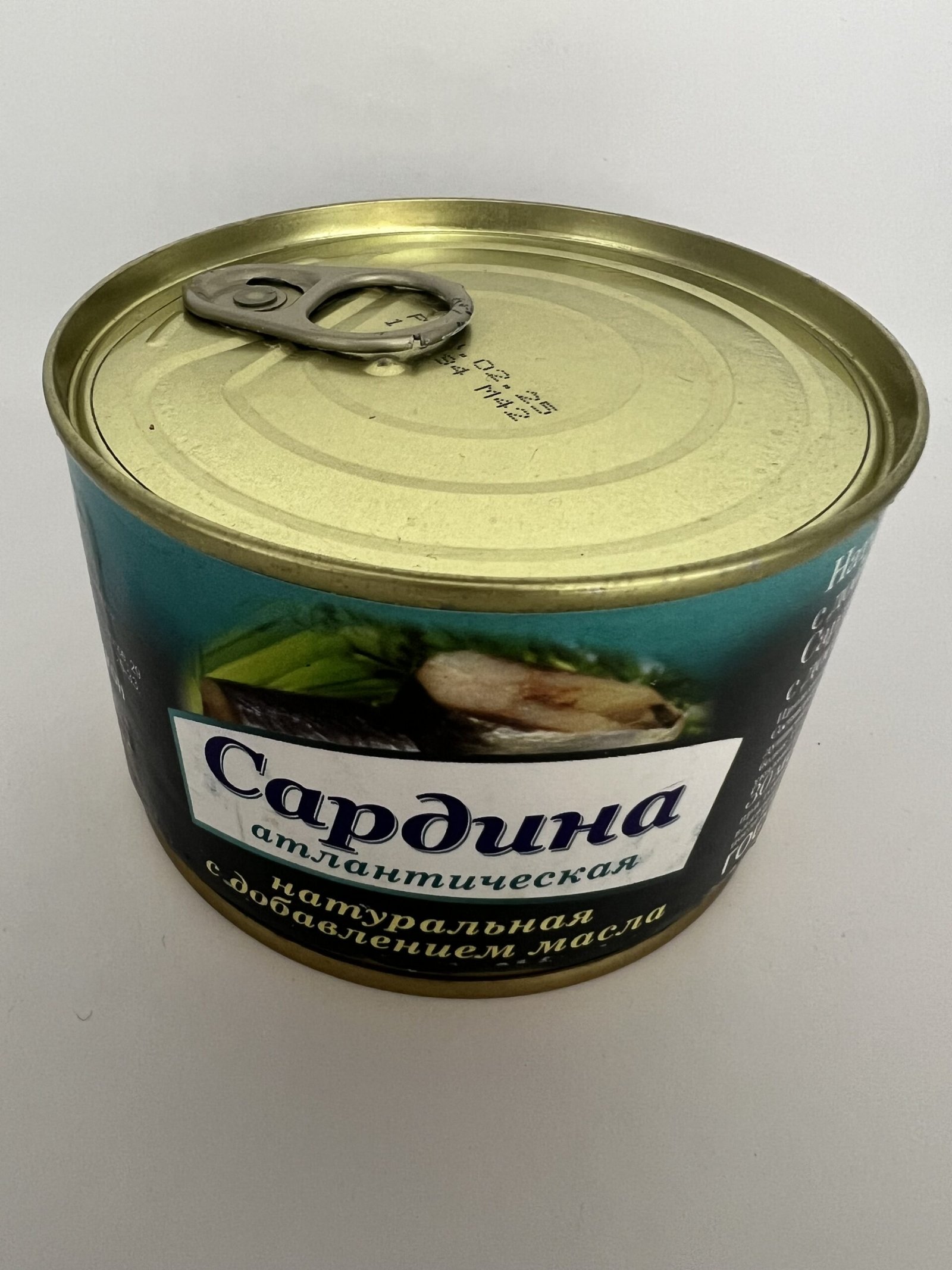 Atlantic sardine natural in oil