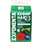 Exponenta Kefir Wild Berries 23g Protein 450G 3 Exp kefir 1